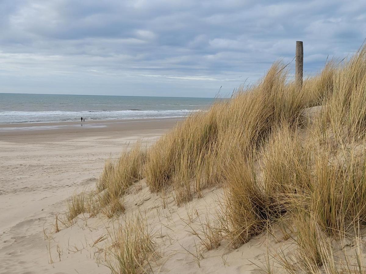 Tiny Villa De Haas Met Infraroodsauna Egmond aan Zee Exterior photo