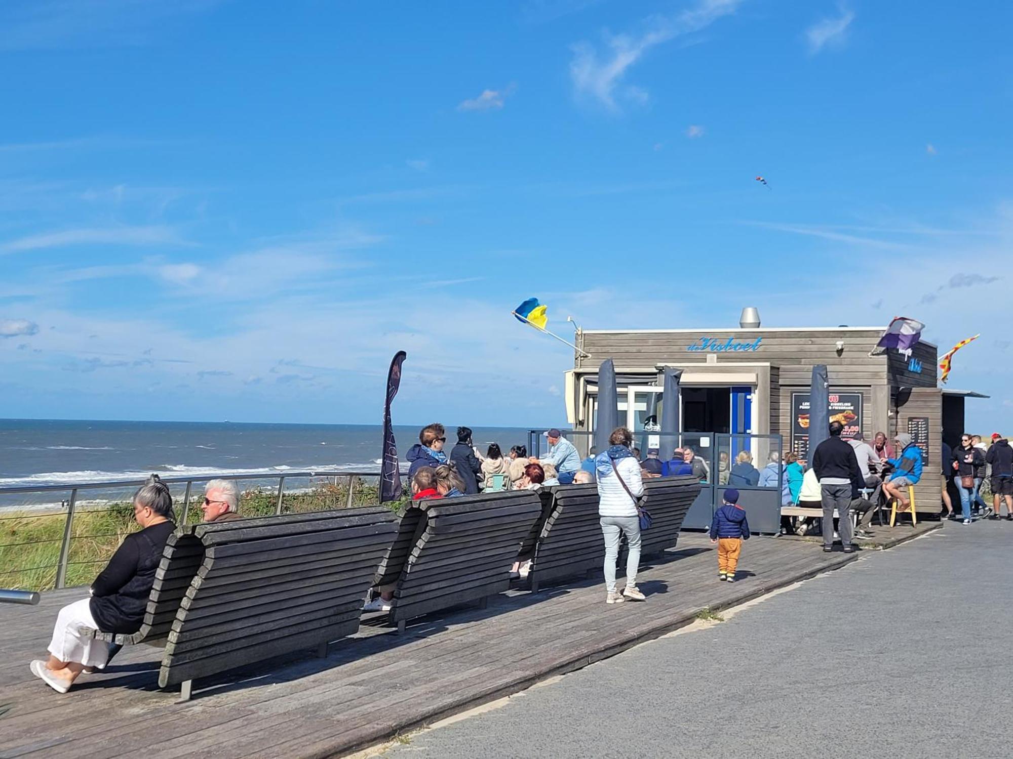 Tiny Villa De Haas Met Infraroodsauna Egmond aan Zee Exterior photo