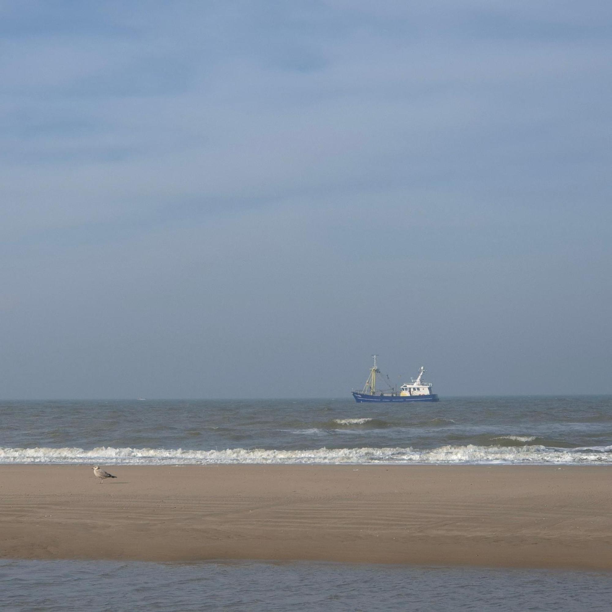 Tiny Villa De Haas Met Infraroodsauna Egmond aan Zee Exterior photo